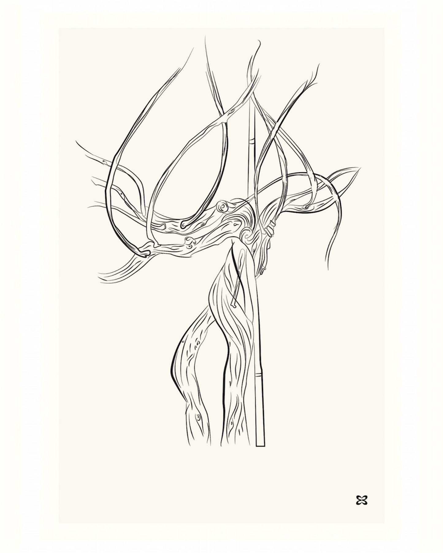 Rooted in Motion